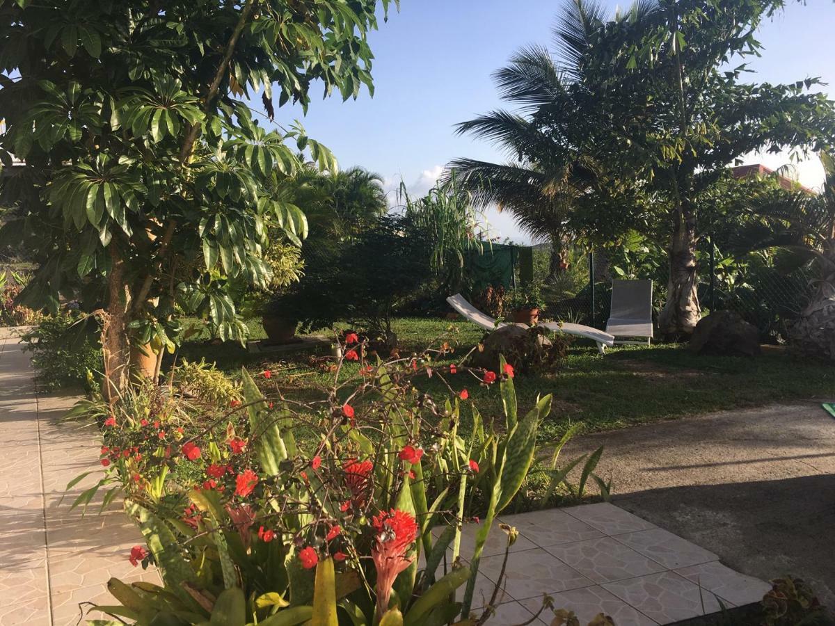 Villa A Rabica - Extrait De Cafe Pointe-Noire Exterior foto